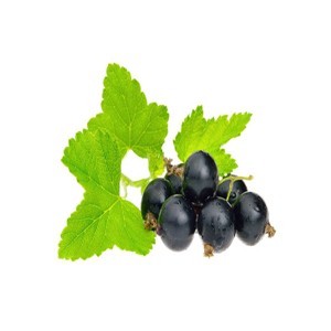 eliquid cassis