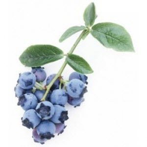 eliquid myrtille