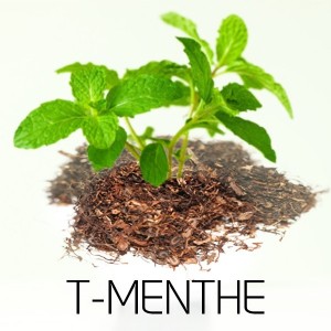 eliquid tabac menthe